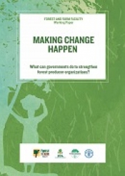 Making change happen: What can governments do to strengthen forest producer organizations, FFF Working Paper